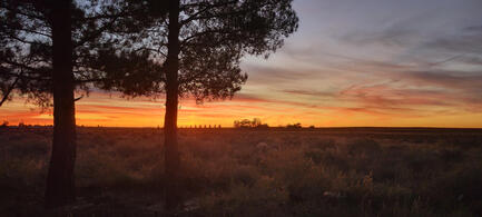 Holbrook MHP Sunset Hillcrest Holbrook Mobile Home Park